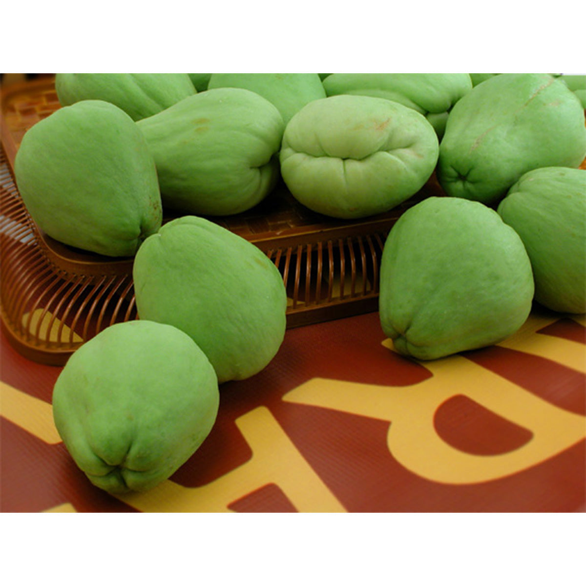 合掌瓜 - 佛手瓜 - CHAYOTE 2.8-3.2lb