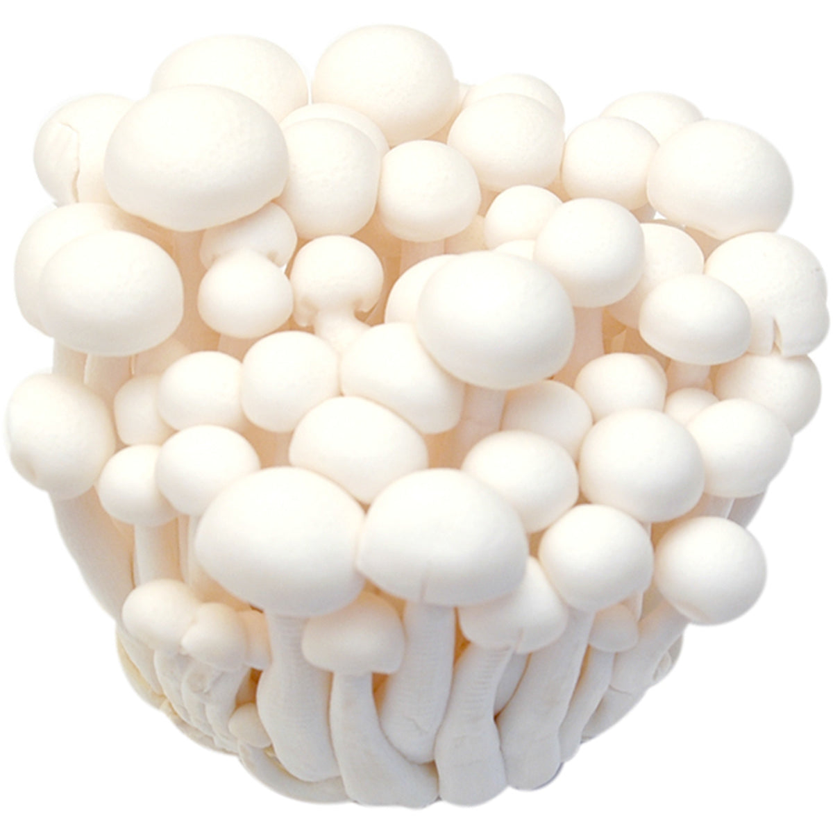 白玉菇 - 白玉菇 - WHITE SHIMEJI MUSHROOM 150g