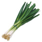 青蔥- 青蔥- GREEN ONION(EA)