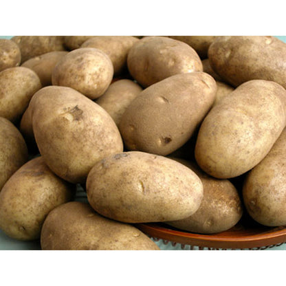 馬鈴薯 - 土豆 - POTATO 2.4-2.6 lb