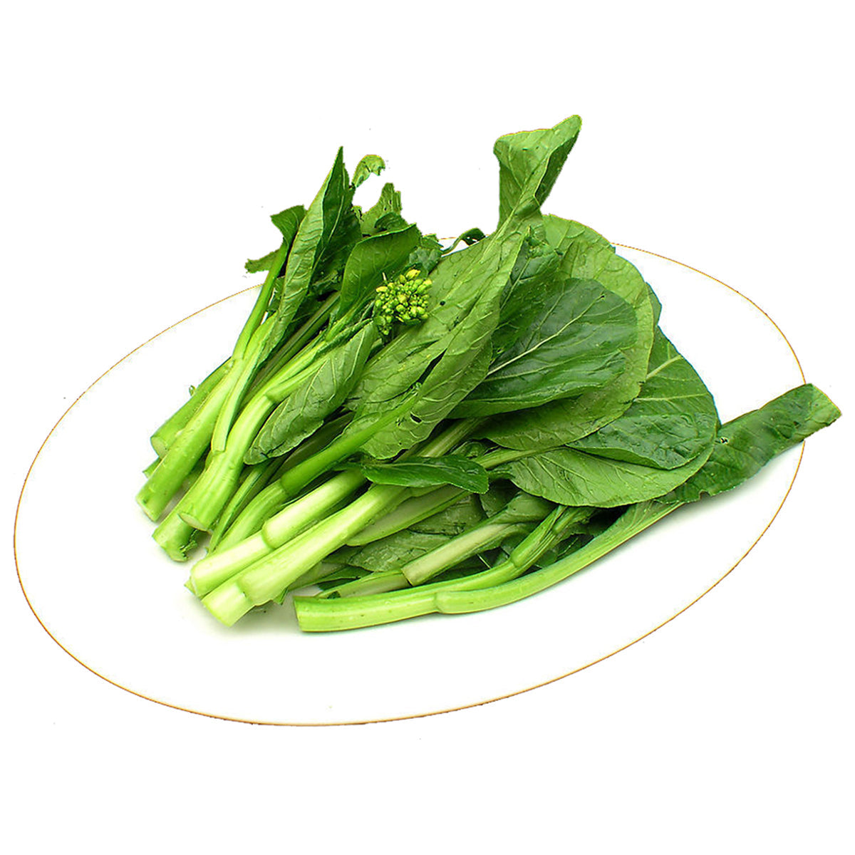 油菜心 - 油菜心 - YOU-CHOY SUN 2.5-2.8lb