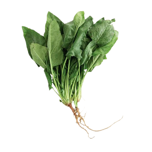 台灣菠菜 - 有根菠菜 - TAIWAN SPINACH 1.6-1.8lb