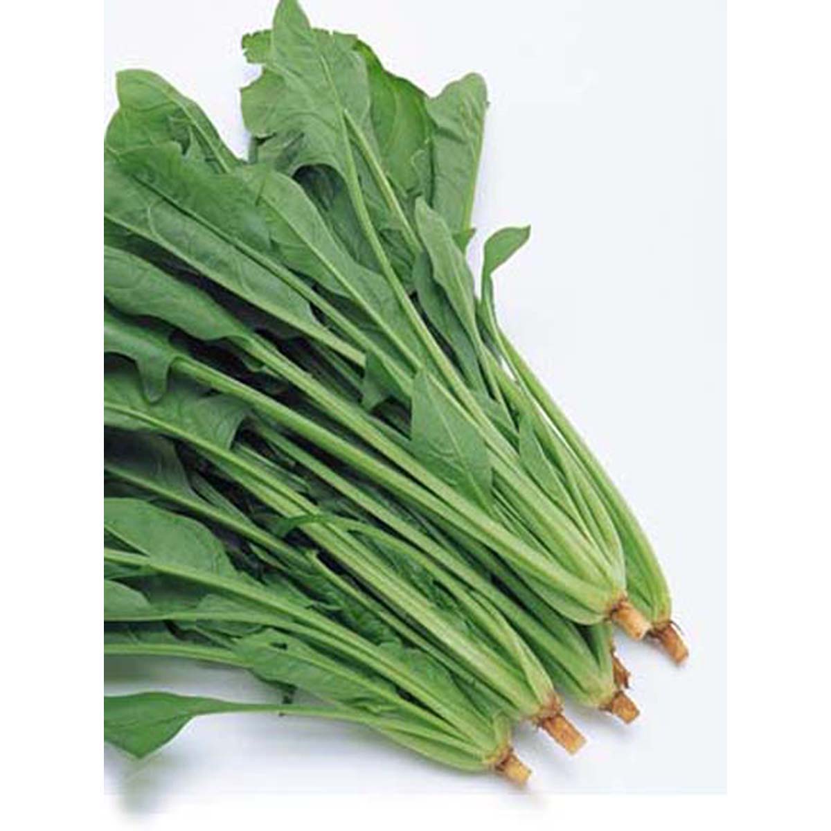 台灣菠菜 - 有根菠菜 - TAIWAN SPINACH 1.6-1.8lb