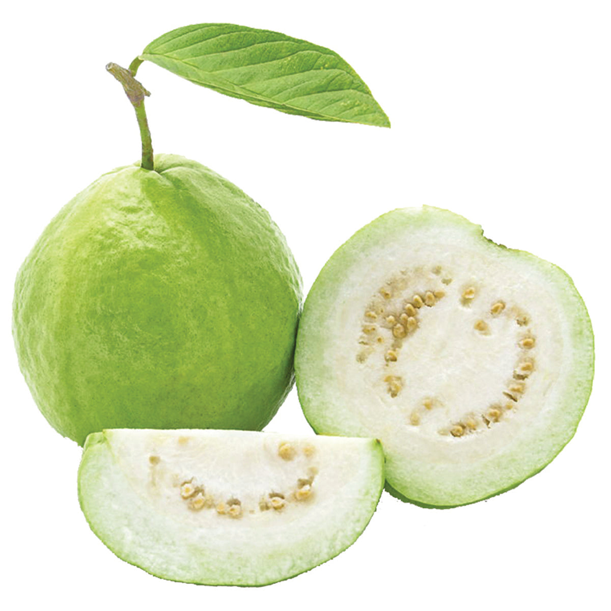 番石榴 - GUAVA 1.3-1.5 lb