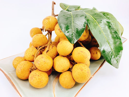 新鮮龍眼- FRESH LONGAN 0.9-1lb