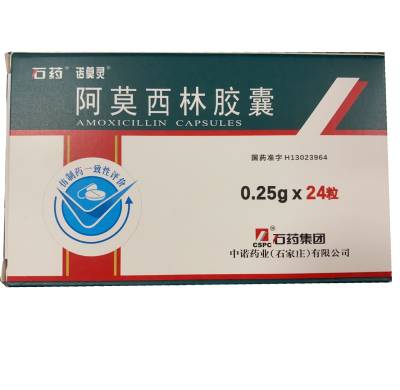 石藥阿莫西林膠囊24粒（24*0.25G）