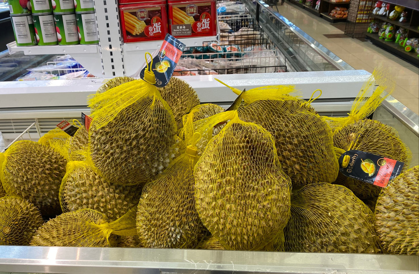 Frozen Whole Durian ( SAU RIENG ) - 特级冷冻整榴莲 1个