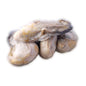 Frozen Oyster Meat 1.5-1.6 lb - 冷冻生蚝肉