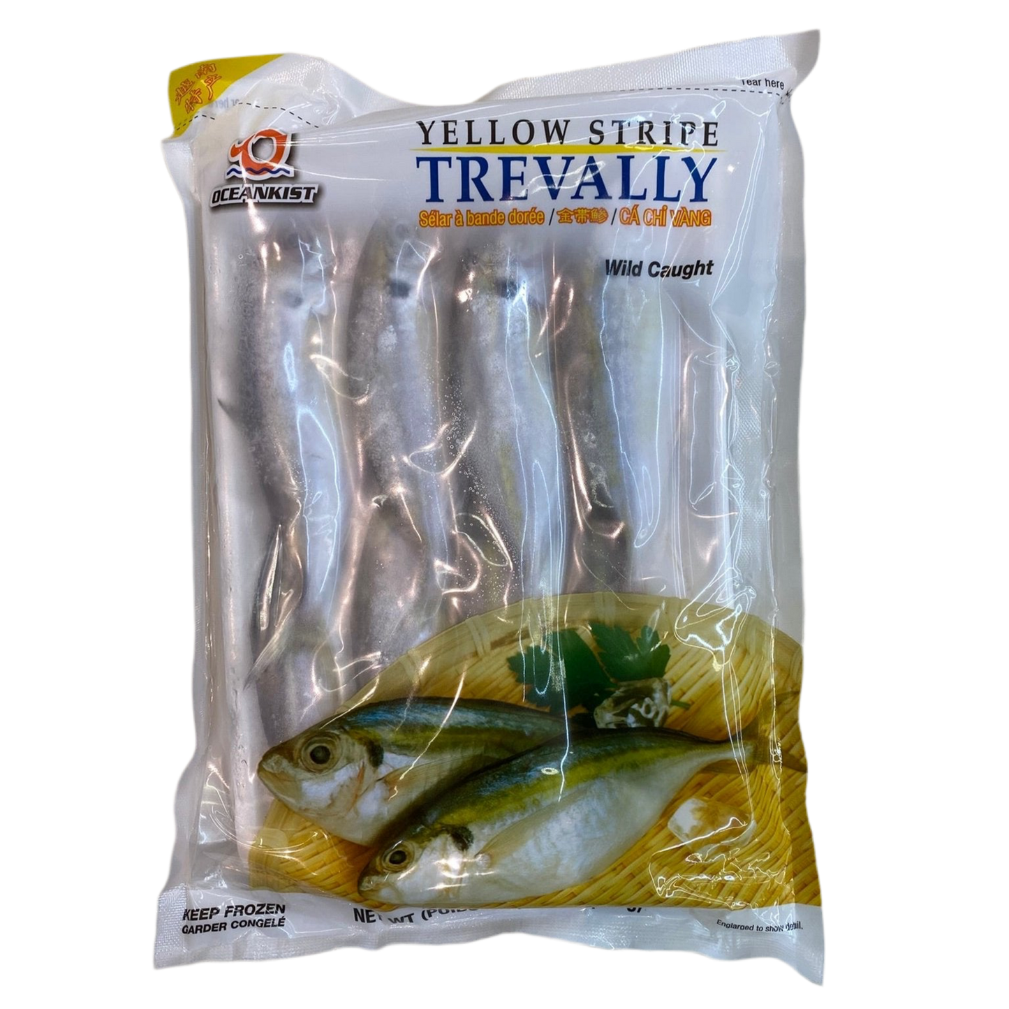 Yellow Stripe Travally - 黃色條紋鰺魚13oz/369g