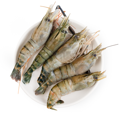 4/6 FRESH WATER SHRIMP 2lb - 4/6 淡水虾 2磅