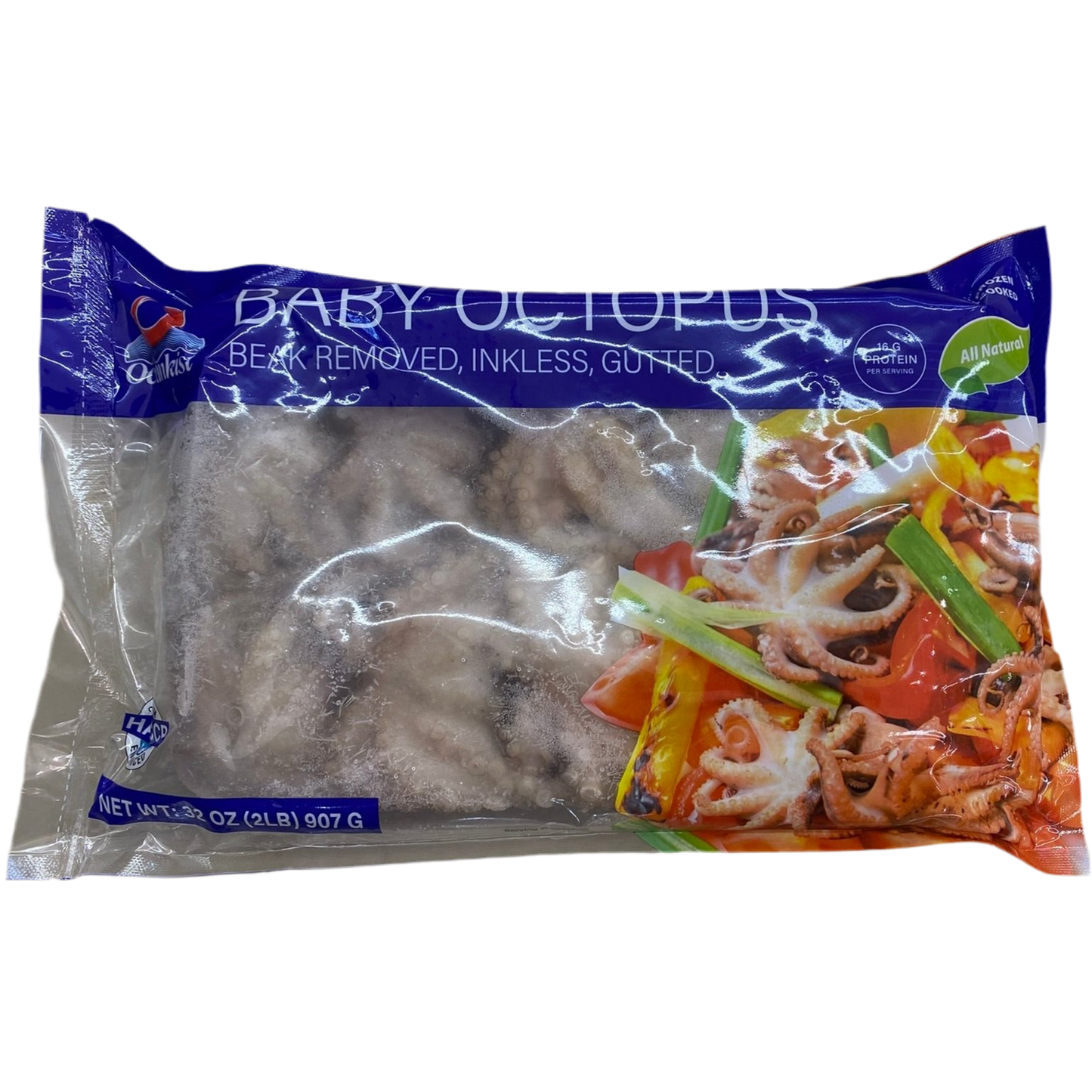 Baby Octopus 2 lbs - 小章鱼