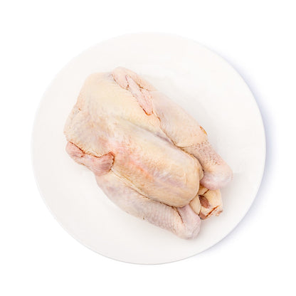 Free Range Chicken - 走地雞3-4LBS