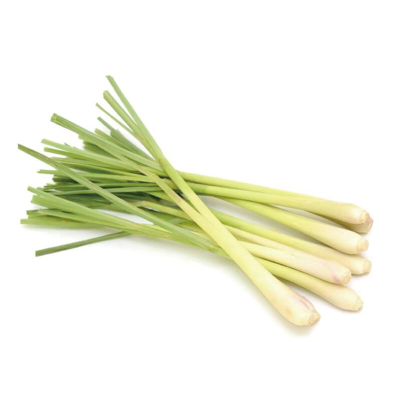 Lemon Grass 香茅 0.6-0.8LB