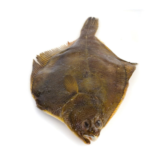 Flounder - 比目鱼 1.8-2lb