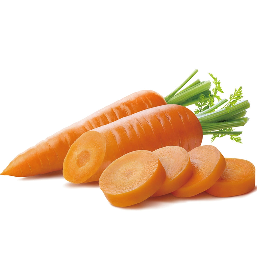 CARROT 胡萝卜  2.6-3.0LB