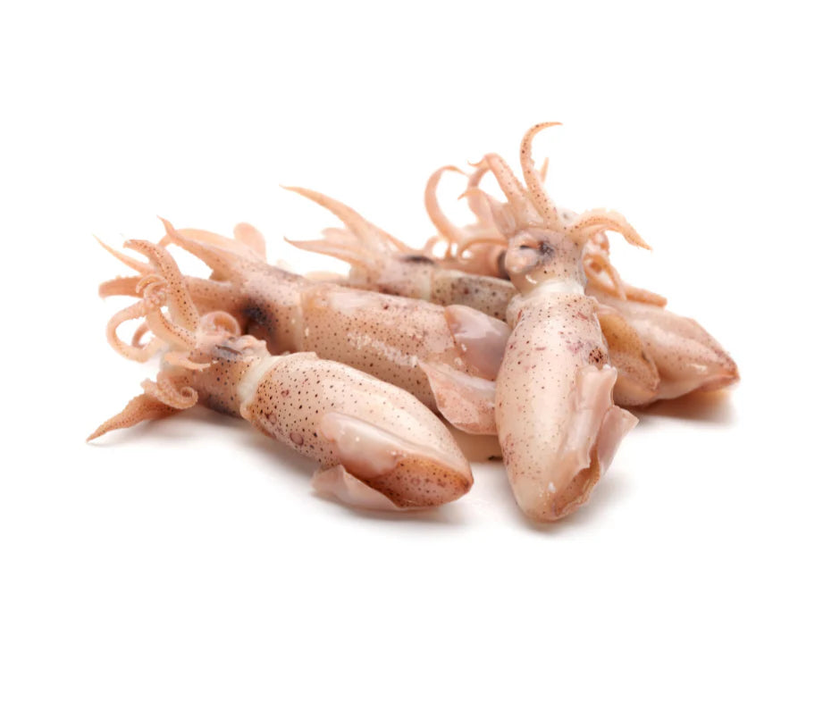 Frozen Small Squid - 小鱿鱼干 1.14-1.3 lbs