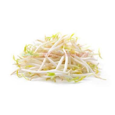 Bean Sprout BAG 绿豆芽 1袋（10lbs)