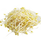 Soy Bean Sprout 黃豆芽1LB