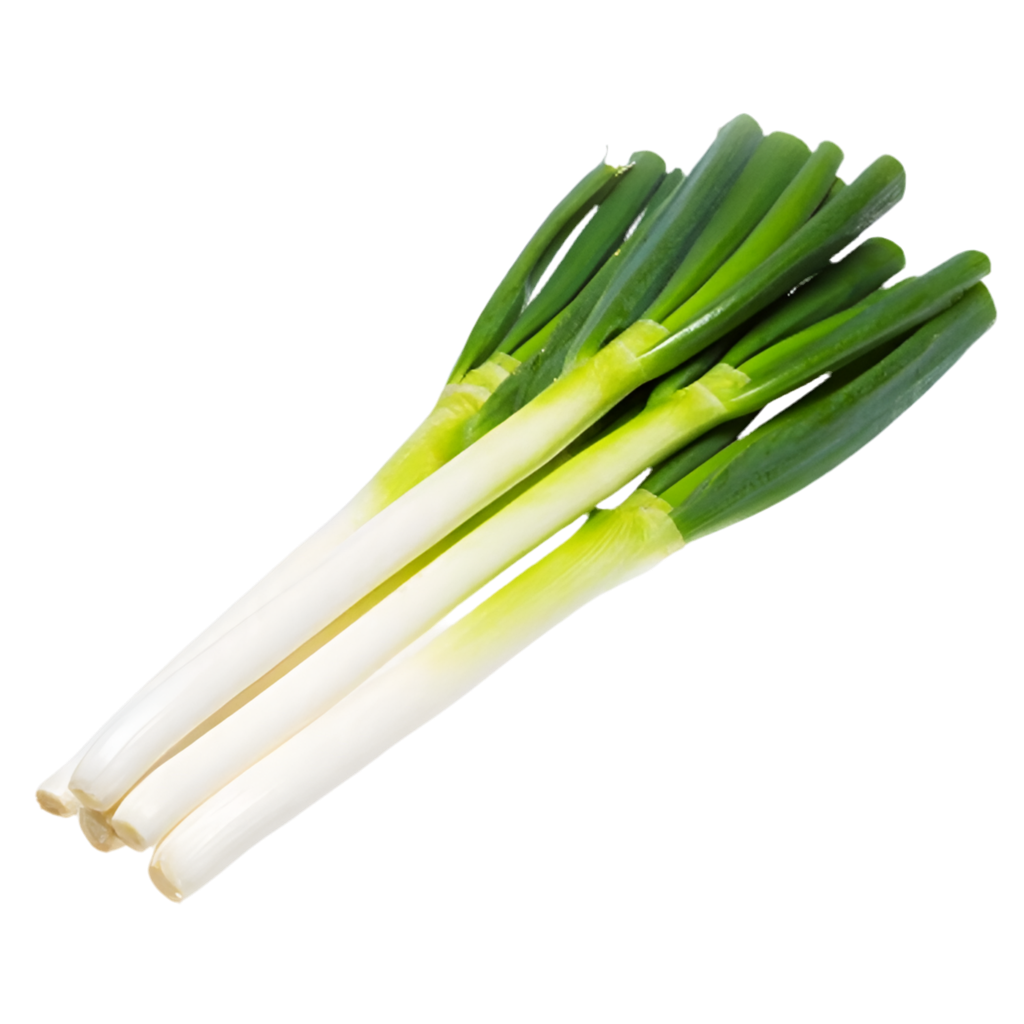 Big Green Onion 山东大葱 0.9-1.0LB