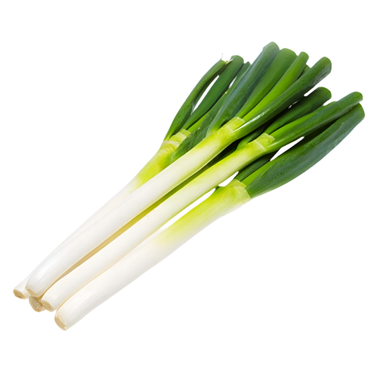 Big Green Onion 山东大葱 0.9-1.0LB