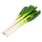 Big Green Onion 山东大葱 0.9-1.0LB