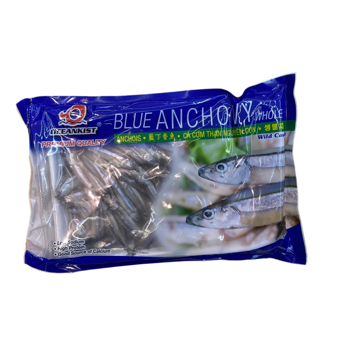 Blue Anchovy - 海蜓鱼 13oz/369g