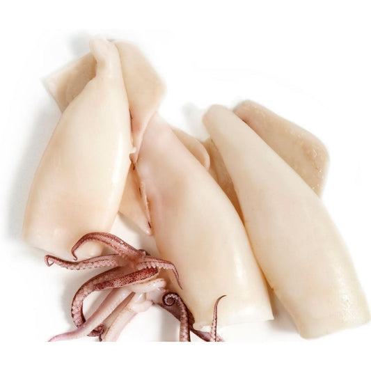 Peeled Cuttlefish - 去皮墨魚3.7-4.1 lb