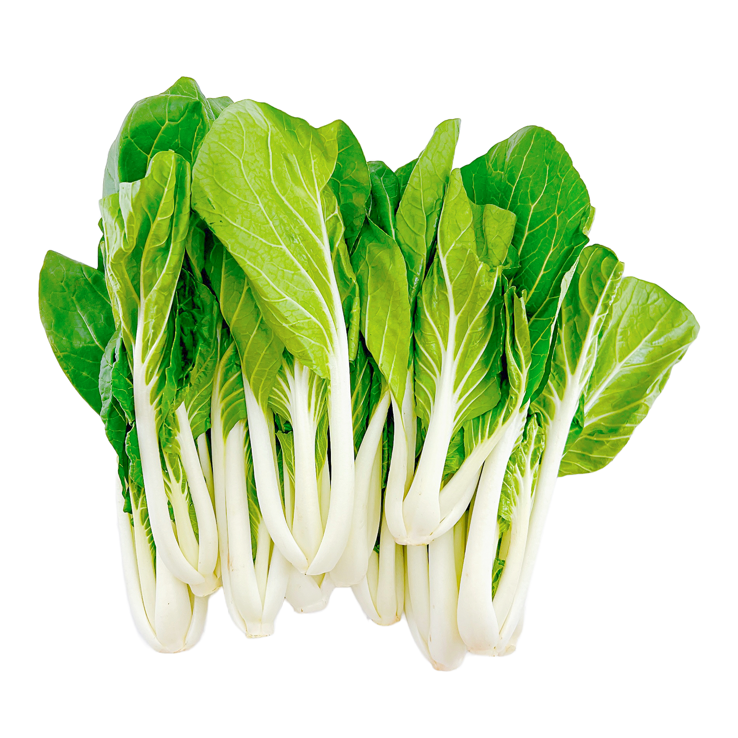 長白菜芯 - 长白菜芯 - LONG BOK CHOY SUM 2.3-2.5lb