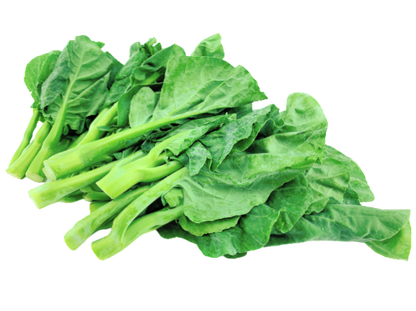 芥蘭苗- 芥蘭苗- GAI LAN MUI 1.4-1.6 lb