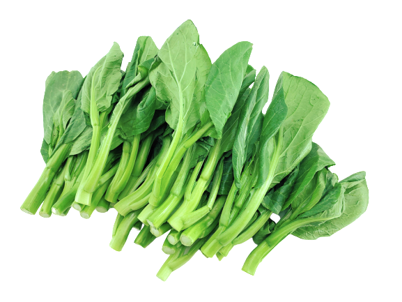 油菜苗 - 油菜苗 - YOU CHOY MUI 1.8-2 lb