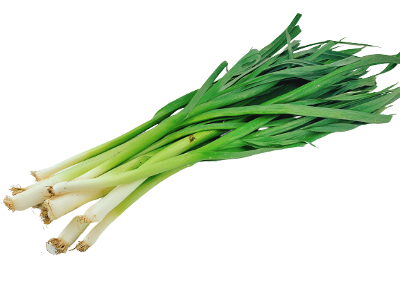 中國蒜苗 - 中国蒜苗 - CHINESE LEEK 0.9-1.1 lb