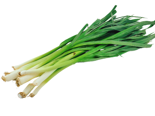 中國蒜苗 - 中国蒜苗 - CHINESE LEEK 0.9-1.1 lb