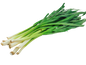 中國蒜苗 - 中国蒜苗 - CHINESE LEEK 0.9-1.1 lb