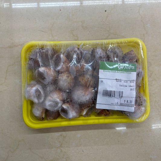 Yellow Snails 1.2-1.4 lb - 黃螺