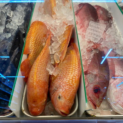 Fresh Red Tilapia - 红罗非鱼 1.8-2lb