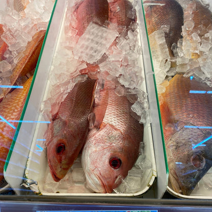 Fresh Red Snapper - 紅鯛魚1.8-2lb