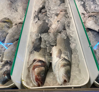 Fresh Siver Seabass Brazanzino-  银鳕鱼 1.8-2lb