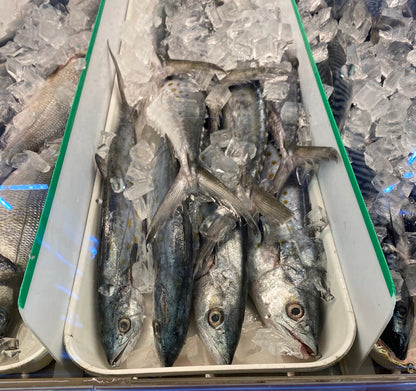 Fresh Sierra Mackerel - 馬鮫魚1.8-2lb