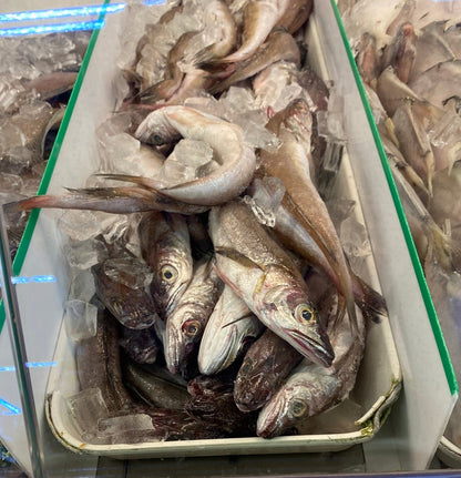 Fresh Whiting Fish - 新鲜牙鳕鱼 1.8-2lb