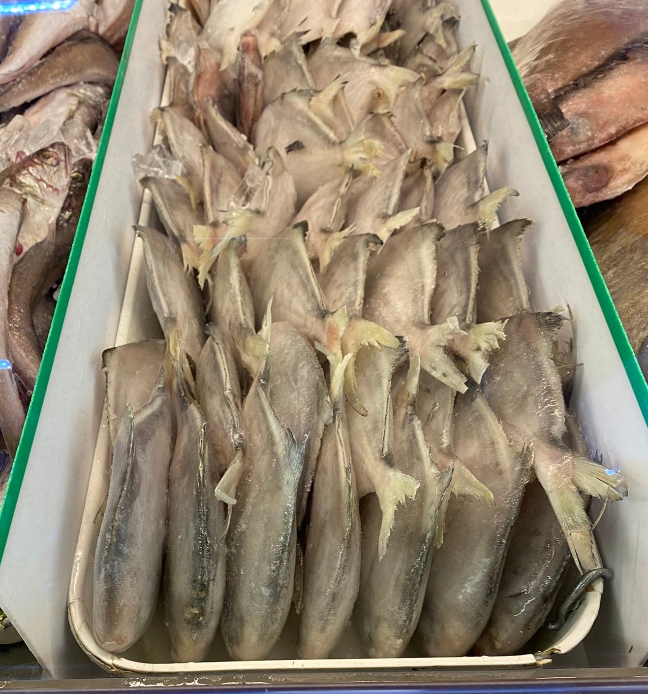 60/80 Chinese Ponpano - 60/80 小白鲳鱼 1.8-2lb