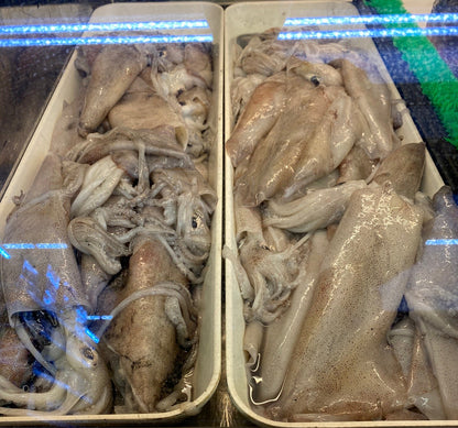 Fresh Squid - 新鲜鱿鱼 1.8-2 lbs