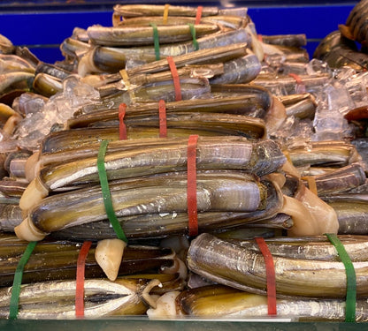 Razor Clam - 刀蚬 蛏子 1.8-2 LB