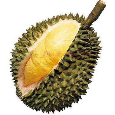 Frozen Whole Durian ( SAU RIENG ) - 特级冷冻整榴莲 1个