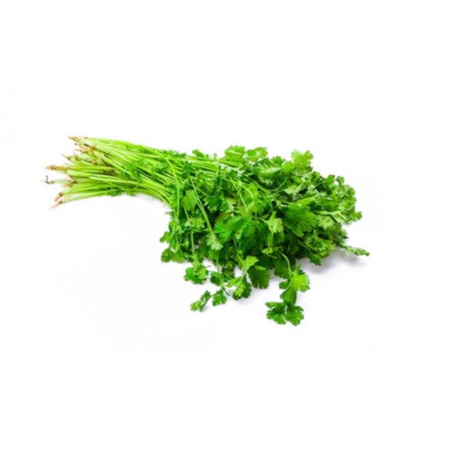 芫荽 - 香菜 - CILANTRO (EA)