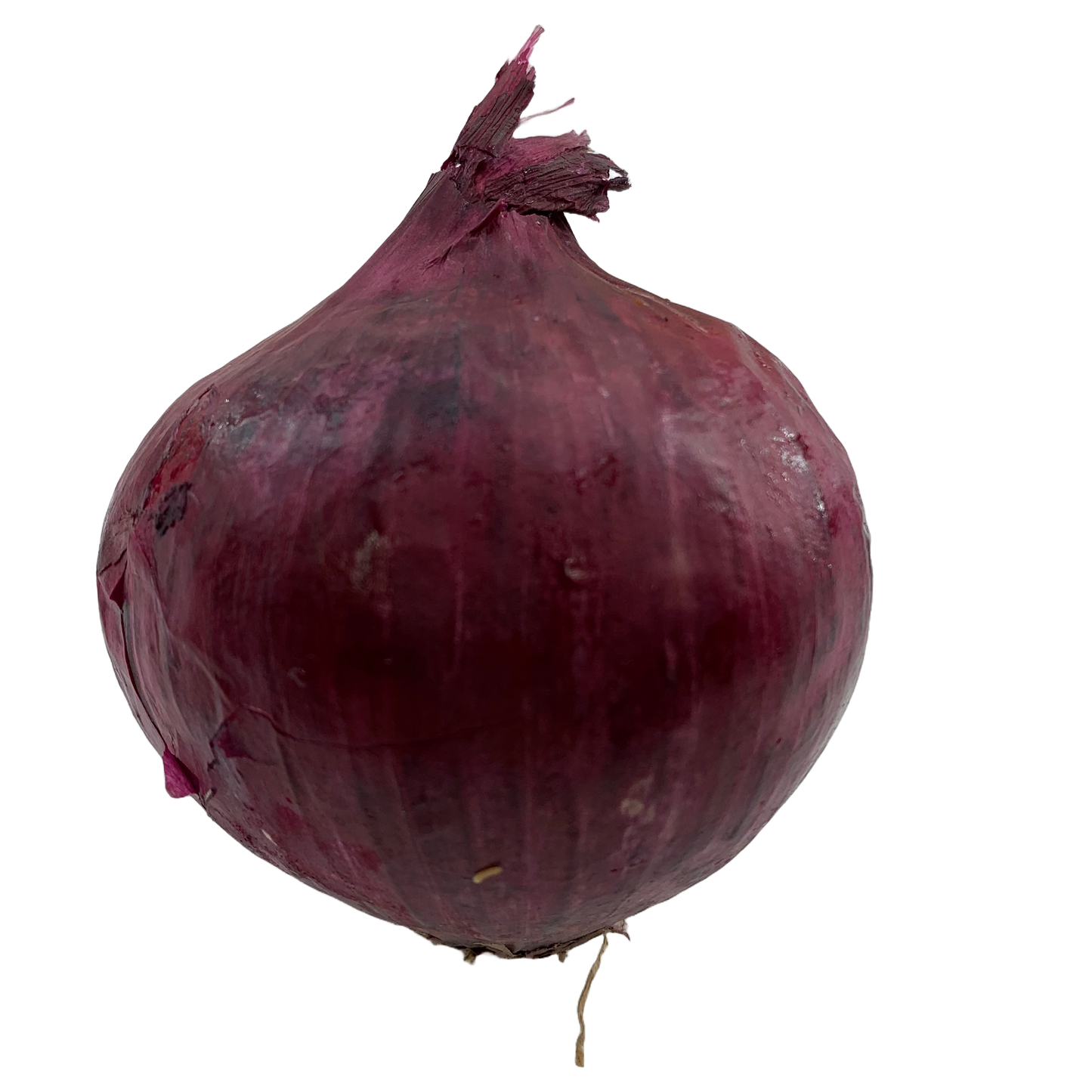 紅洋蔥- 紅洋蔥- RED ONION 1LB