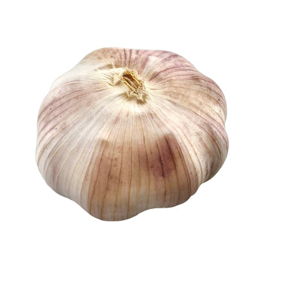 新鮮袋裝蒜頭 - 新鲜袋装蒜头 - GARLIC HEAD 5PCs/Pack