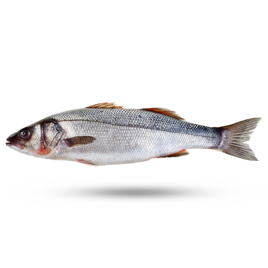 Fresh Siver Seabass Brazanzino-  银鳕鱼 1.8-2lb