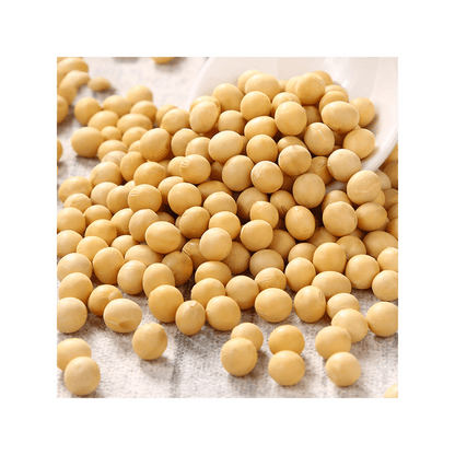 WEI-CHUAN Organic Soybeans - 味全有机黄豆 14oz/396g