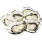 Frozen Oysters 6pcs - 冷冻生蚝 6个