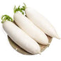 DAIKON RADISH 白萝卜  2.6-3.0LB